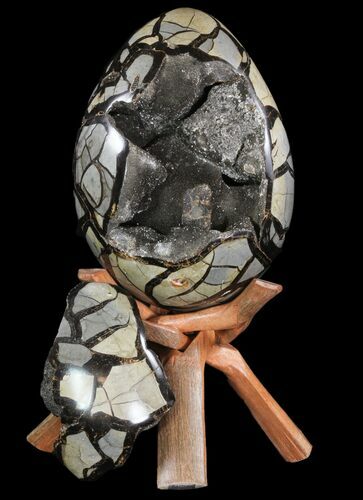Septarian Dragon Egg Geode - Removable Section #78541